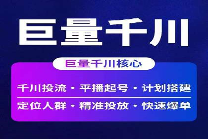 百度广告投放策略与效果评估案例